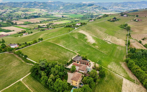 Tenuta Schiavon Barrero 12: Landbrug, Almindeligt, Landskab, Mark, Plantation, Fugleperspektiv, Landdistrikt, Land Lot, Menneskelig Bosættelse, Luftfotografering