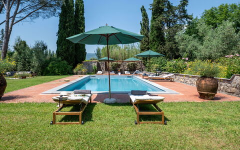 Villa Collegigliato 8: Svømmepøl, Udvej, Have, Busk, Udendørs Møbler, Liggestol, Landscaping, Eco Hotel, Skygge, Hacienda