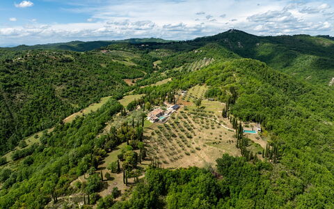Tenuta Santa Cristina 10: Naturligt Miljø, Natur, Vegetationen, Naturlige Landskab, Landskab, Highland, Hill Station, Landdistrikt, Fugleperspektiv, Skov