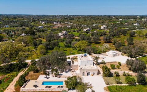 Masseria Grotta Antica 6+2: Træ, Landskab, Estate, Fugleperspektiv, Landscaping, Luftfotografering, Svømmepøl, Villa, Hacienda, Plantation