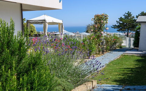 Villa Alma 8+2: Blomst, Busk, Have, Landscaping, Skygge, Gård, Botanisk Have, Walkway