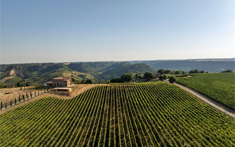 Tenuta Orsini 9+3: Landbrug, Mark, Plantation, Landdistrikt, Landskab, Almindeligt, Land Lot, Afgrøde, Farm, Vineyard