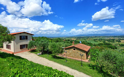 Villa Ulivi: Sky, Himmel, Plante, Bygning, Vindue, Grøn, Naturlige Landskab, Hus, Træ, Vegetationen