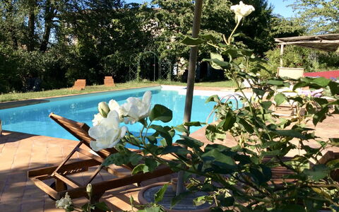 La Cenerara: Ejendom, Blomst, Plante, Ejendom, Botanik, Hus, Svømmepøl, Træ, Hjem, Villa