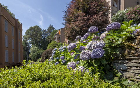 Residenza del Pascià: Grøn, Blad, Vegetationen, Busk, Plantesamfund, Have, Bunddække, Forår, Landscaping, Ejerlejlighed