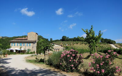 La Torre Antica B&b