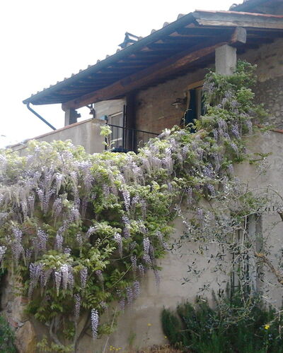 Appartamento Piscina