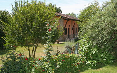 Rielli
