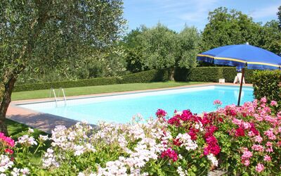 Rielli: Svømmepøl, Ejendom, Blomst, Have, Plante, Botanik, Træ, Forår, Fritid, Ejendom