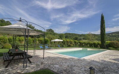 Sunflower - Baschi, Umbrien, Italien
