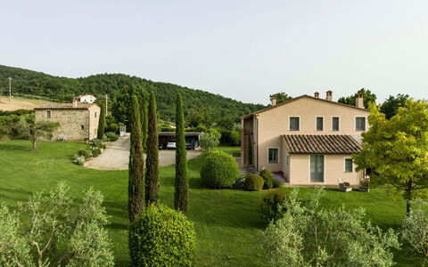 Villa Danilo: Plante, Himmel, Bygning, Vindue, Træ, Naturlige Landskab, Land Lot, Hus, Sommerhus, Landskab