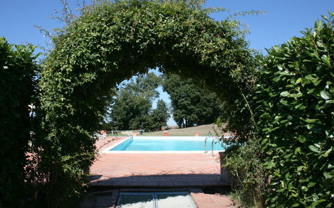 Fattoria le Chianacce: Arch, Ejendom, Arkitektur, Træ, Himmel, Botanik, Busk, Have, Plante, Ejendom