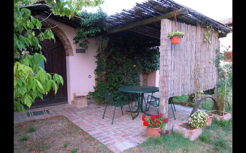 Fattoria la Gabola: Ejendom, Backyard, Gård, Hus, Skur, Bygning, Sommerhus, Garden Bygninger, Have, Landscaping