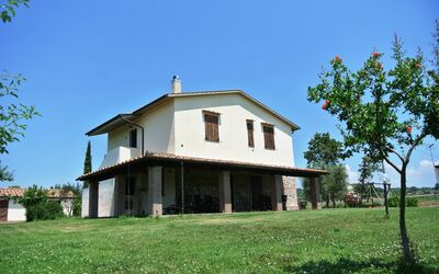 Nonno Tobia - Magliano in Toscana, Toscana, Italien - Il Nido