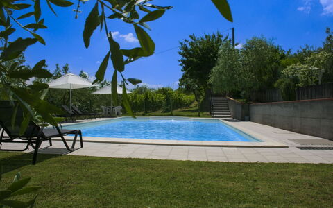Podere San Bono: Svømmepøl, Udendørs Møbler, Udvej, Skygge, Have, Eco Hotel, Landscaping, Backyard, Liggestol, Estate