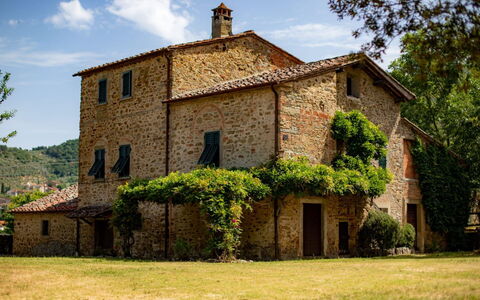 Olivo: Plante, Bygning, Himmel, Sky, Vindue, Træ, Hus, Land Lot, Dør, Sommerhus