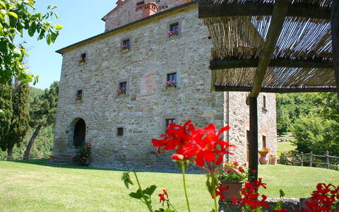 Torre di Vignale: Blomst, Plante, Bygning, Ejendom, Vindue, Kronblad, Himmel, Træ, Vegetationen, Græs