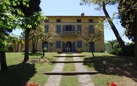 Poggio Falcone: Plante, Himmel, Bygning, Ejendom, Vindue, Botanik, Træ, Hus, Græs, Land Lot