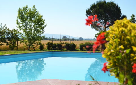 Villa Cantagallo: Vand, Plante, Himmel, Svømmepøl, Blomst, Azure, Natur, Træ, Græs, Naturlige Landskab