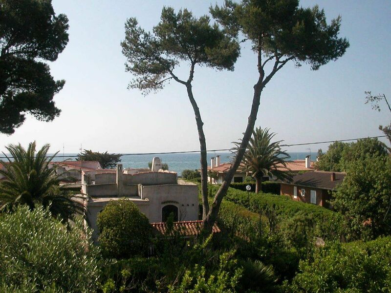 The view of the sea from the garden