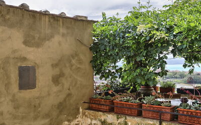 Castiglione Della Pescaia 805