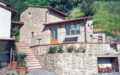 Fattoria Pietrabuona - Podere Sondino - Pietrabuona, Toscana, Italien - I Cinghiali