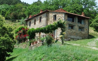 Fattoria Pietrabuona - Podere Cima a Zano