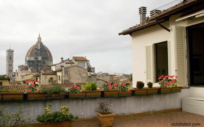 Apartment Oriuolo - Firenze, Toscana, Italien