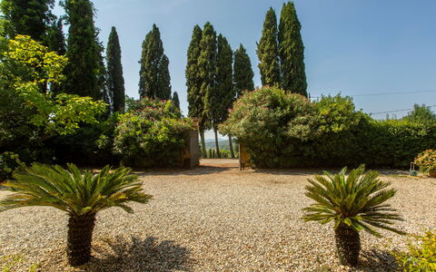 Villa Pedone: Plante, Himmel, Plantesamfund, Træ, Land Lot, Græs, Evergreen, Arecales, Naturlige Landskab, Vedplante