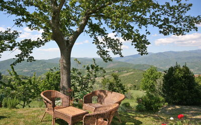 Poggiolino