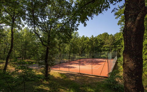 Villa Sant' Angelo: Træ, Afdeling, Bagagerum, Skygge, Sollys, Forår, Woodland, Kvist, Lund