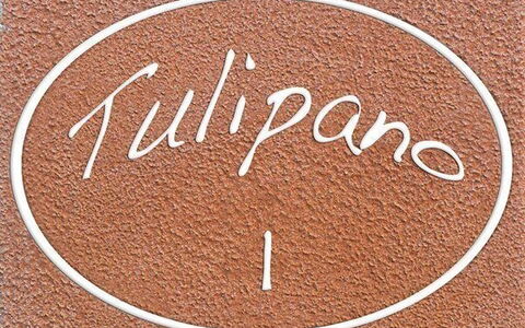 Feriebolig:&nbsp;Tulipano
