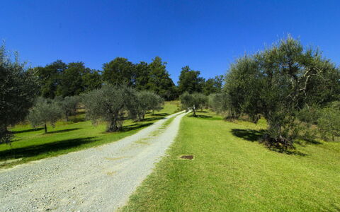 La Casetta nel Bosco: Estate, Stuehus, Have, Landscaping, Hacienda, Lawn, Villa, Gård, Backyard, Mansion