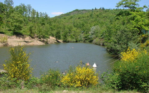 Civitella: Krop Af Vand, Vandressourcer, Naturlige Landskab, Natur, Vegetationen, Naturreservat, Vand, Bank, Sø, Naturligt Miljø
