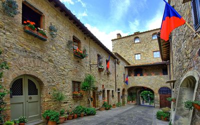 Ciclamini - San Donato, Toscana, Italien - Ciclamini 1