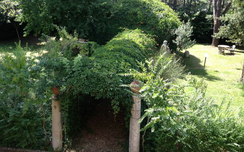 Villa Quattro Mori: Plante, Land Lot, Træ, Græs, Evergreen, Vedplante, Bunddække, Hæk, Busk, Naturlige Landskab