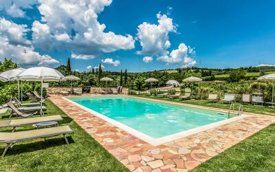 Mastro 5 - Castelnuovo Berardenga, Toscana, Italien