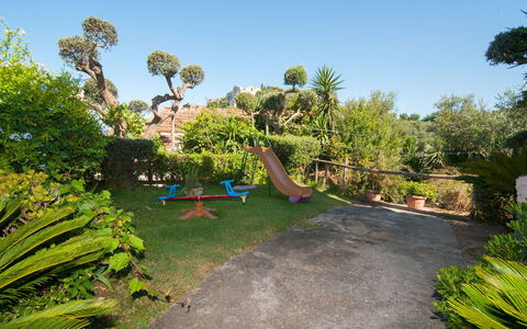 Emi: Vegetationen, Have, Botanisk Have, Ejendom, Træ, Himmel, Botanik, Ødemark, Hus, Græs