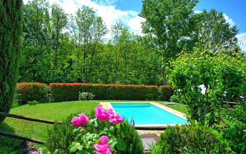 Casa Ovile: Blomst, Vand, Plante, Himmel, Sky, Grøn, Naturlige Landskab, Botanik, Træ, Vegetationen