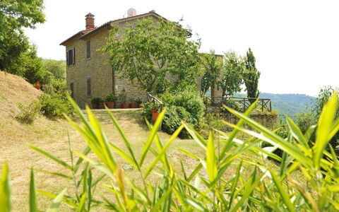 Casetta i Ciliegi: Plante, Himmel, Plantesamfund, Bygning, Vindue, Træ, Naturlige Landskab, Land Lot, Vegetationen, Hus