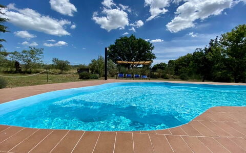 Funghi 2: Vand, Himmel, Sky, Vandressourcer, Svømmepøl, Plante, Azure, Rektangel, Træ, Skygge