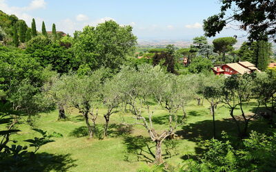 Villa Mina
