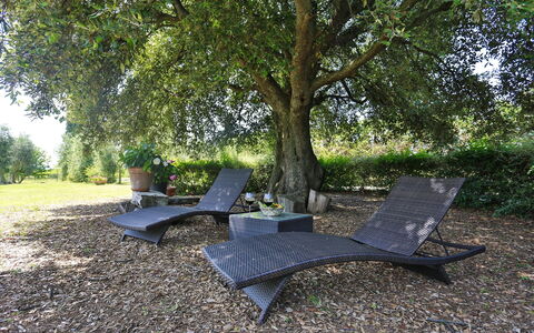 Villa Lorian: Træ, Møbel, Blad, Græs, State Park, Bord, Udendørs Møbler, Plante, Gård, Fritid