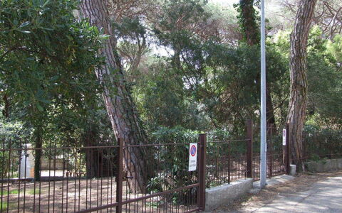 Appartamento - Le Finestre: Træ, Ejendom, Hegn, Vedplante, Ejendom, Plante, Land Lot, Hus, Skov, Landskab